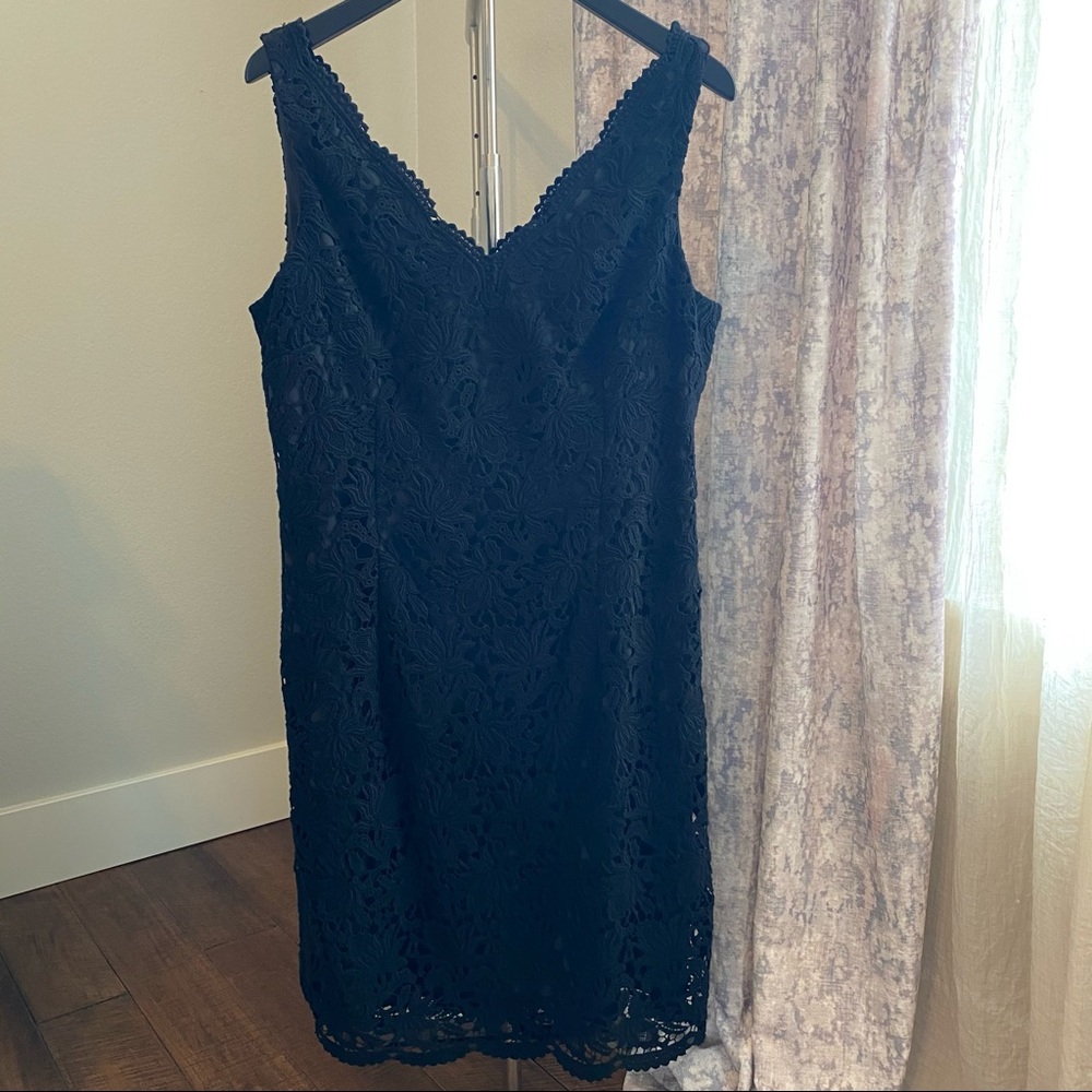 Ann Taylor Lace V-Neck Dress